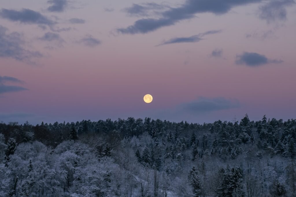 Full moon over a snow-covered forest at night, illustrating a Wolf Moon ritual for beginners in January