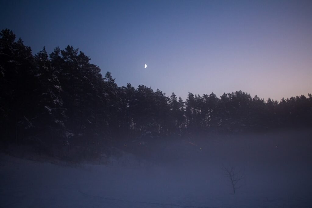 Foggy night with a full moon in the distance, illustrating a Worm Moon ritual for spring in March