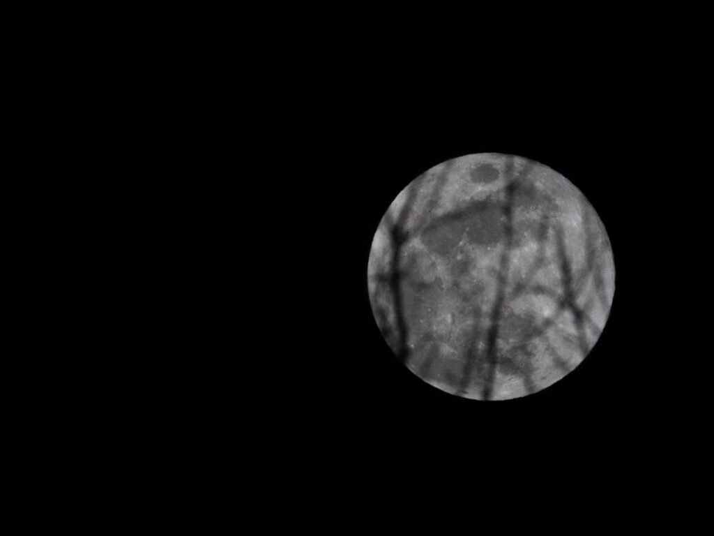 Full moon seen through bare tree branches, representing Reiki energy healing practice for beginners