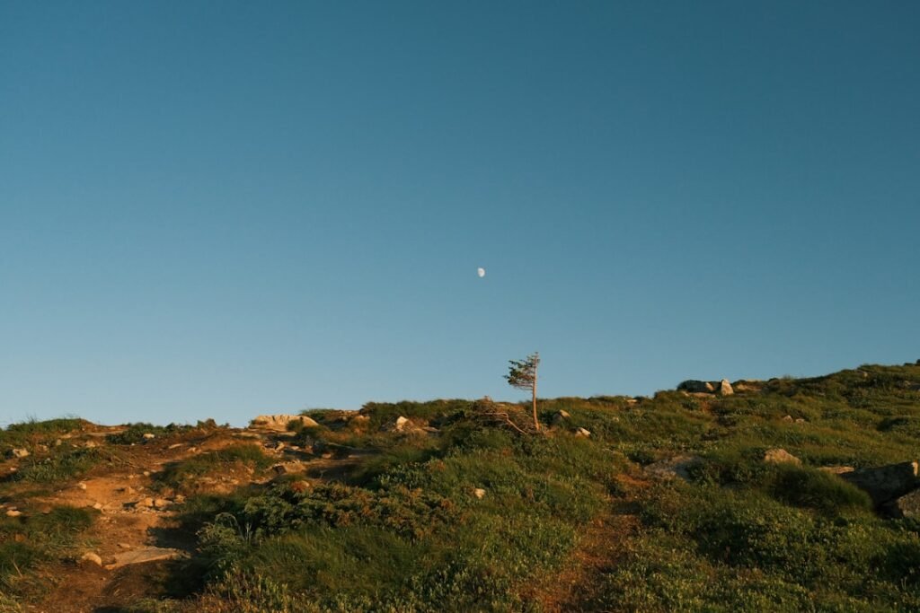 Faint moon above a green grassy hill, illustrating Flower Moon ritual and meaning in May