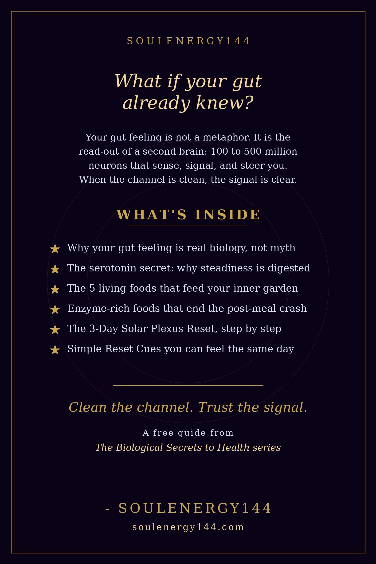Gut Intuition: The Solar Plexus Reset Gold-on-purple back cover for Gut Intuition with the hook 'What if your gut already knew?' and the line 'Clean the channel. Trust the signal.'
