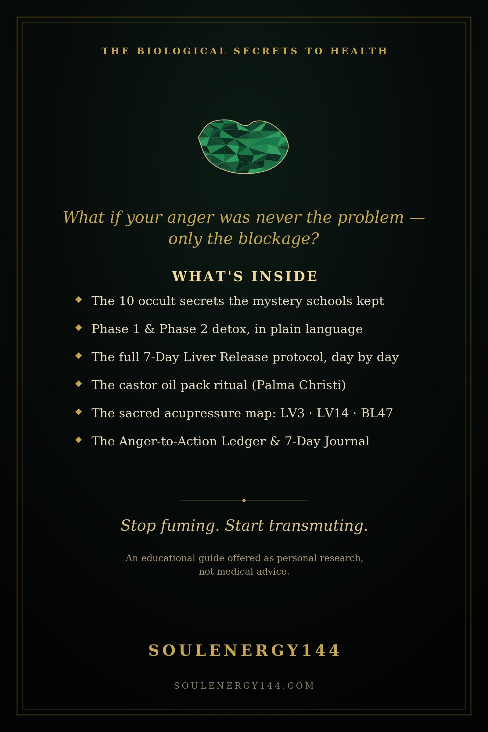 The Liver Release: Processing Anger into Action — Special Edition SoulEnergy144 back cover for The Liver Release listing what's inside on a dark void.