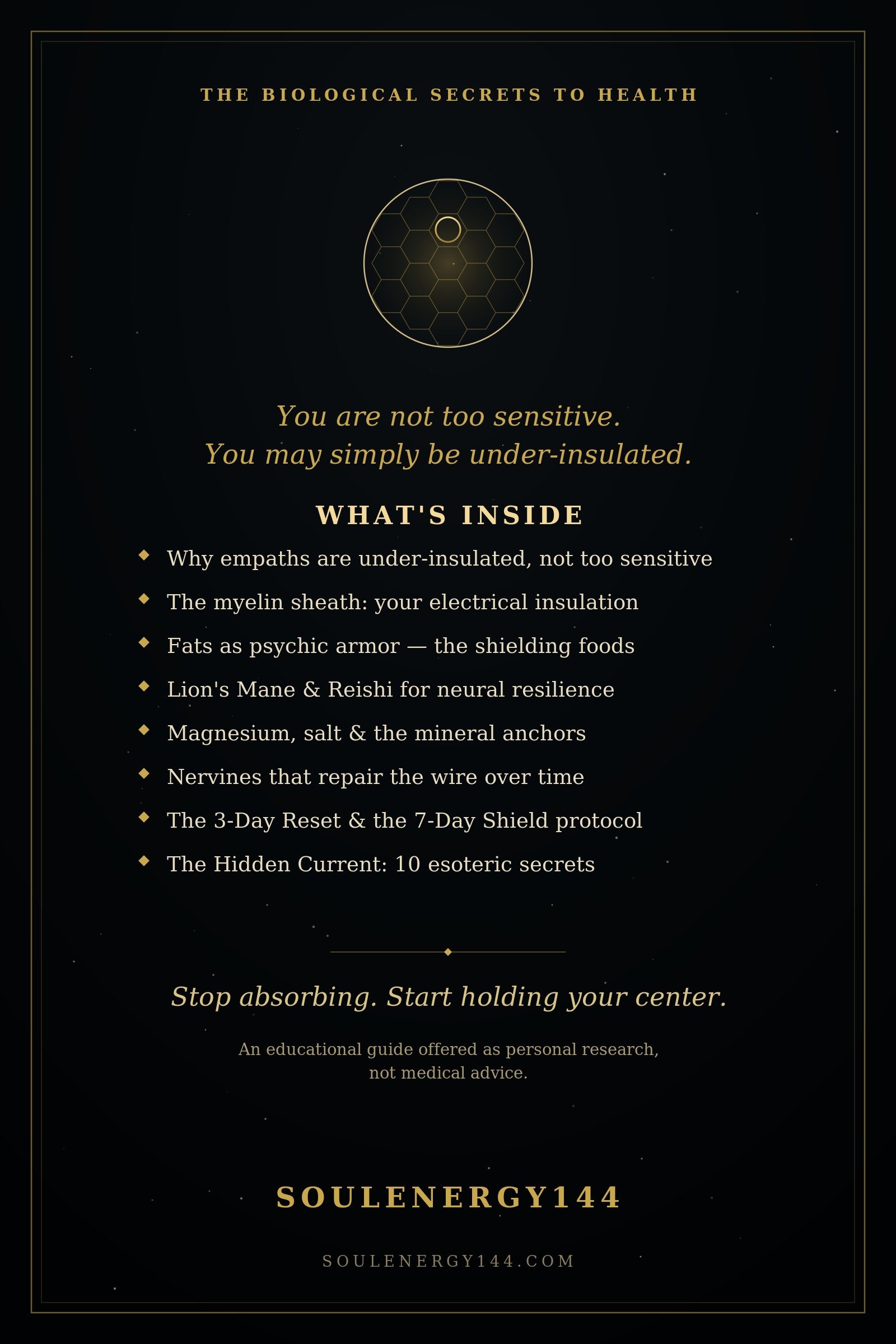 The Nervous System Shield: Aura Protection Foods SoulEnergy144 back cover for The Nervous System Shield listing what's inside on a dark void.